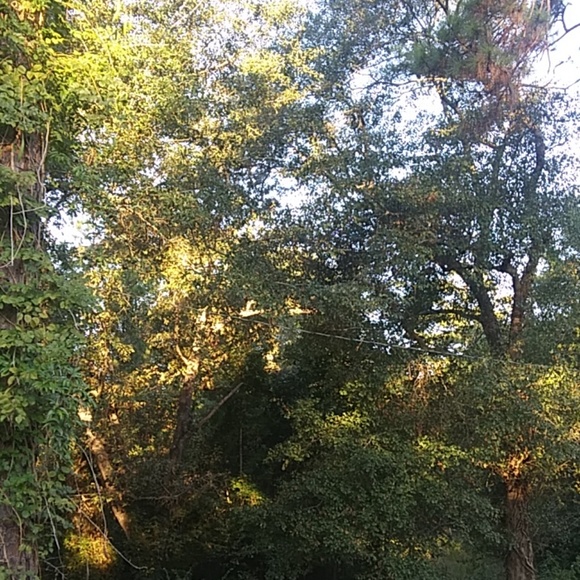 Meet your Posher, Tammy - Picture 1 of 1